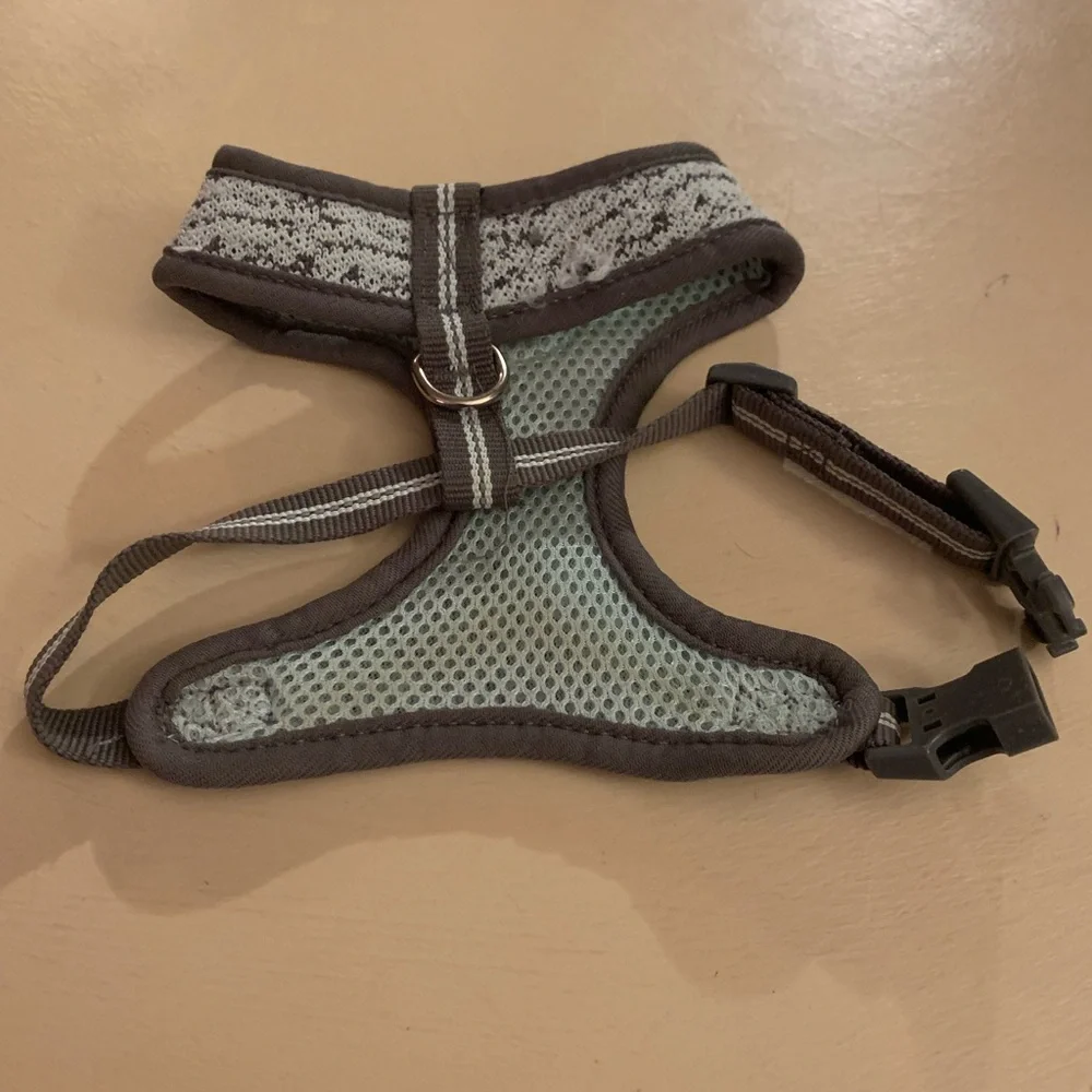 Vibrant Blue and Gray Dog Harness